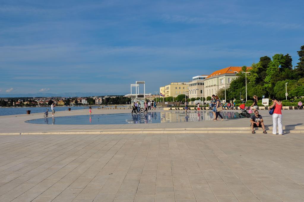 Purple Summer * Zadar